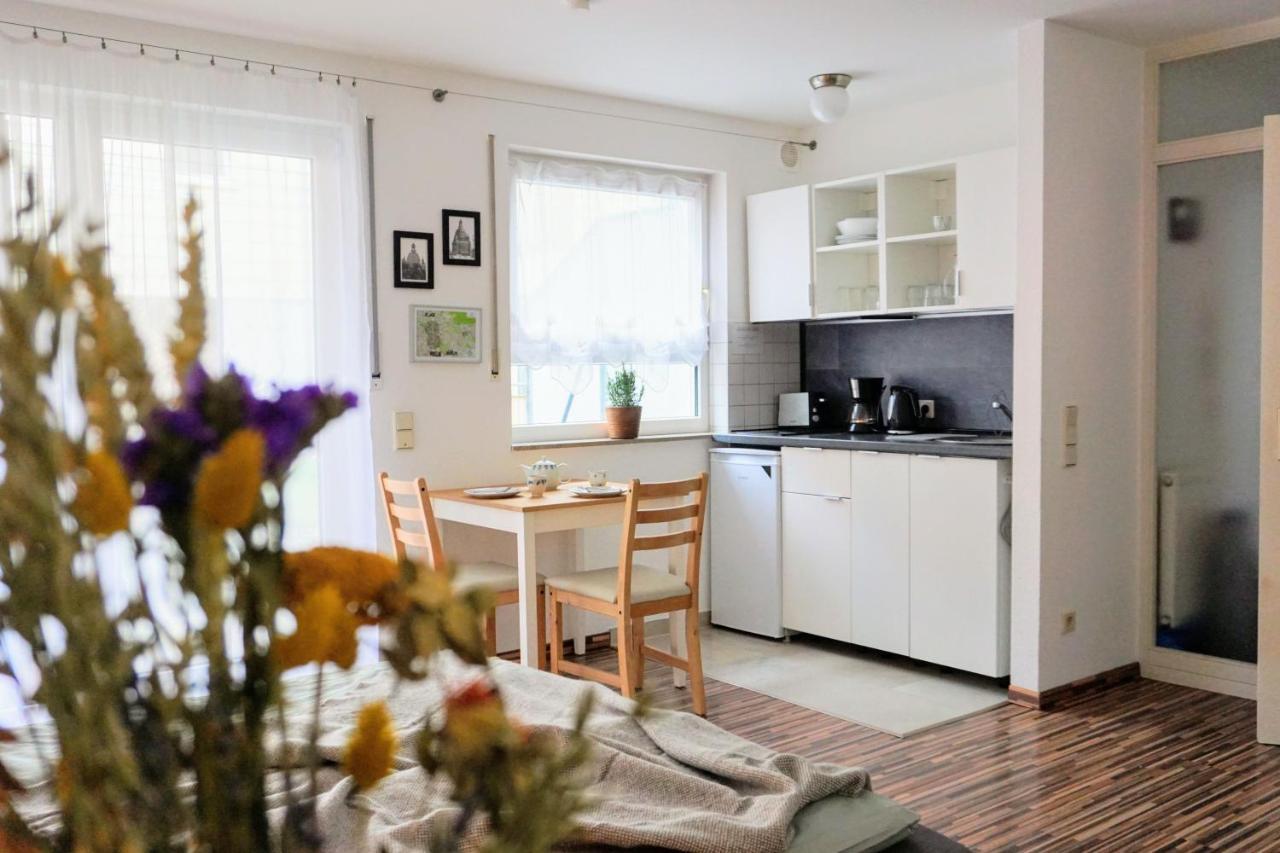Gemuetliche Ferienwohnung In Ruhiger Lage Dresden Exteriör bild